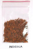 Arugula or Rocket/Roquette Seeds - OG - The Seed Store - 4