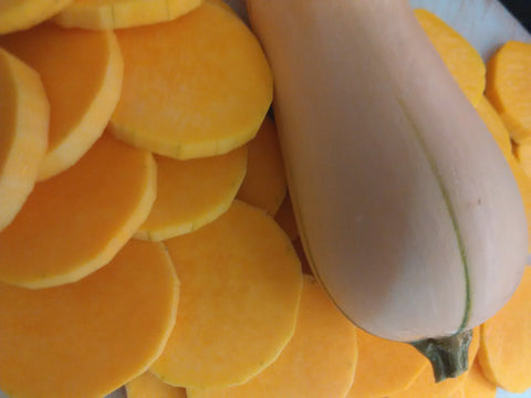 Squash Butternut Seeds - OG - The Seed Store - 1