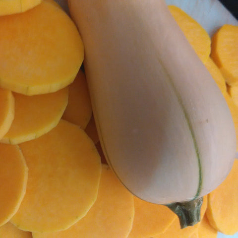 Squash Butternut Seeds - OG - The Seed Store - 1