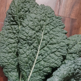 Kale Black Tuscan Seeds - OG