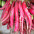 Radish Red Long Seeds - OG