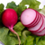Radish Cherry Belle Seeds