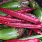 Lady Finger Red (Bhindi) Seeds - OG