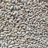 Beans Lattar Seeds