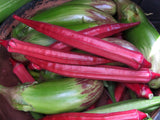 Lady Finger Red (Bhindi) Seeds - OG - The Seed Store - 1