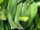 Pak Choy White Stemmed Seeds - The Seed Store - 2