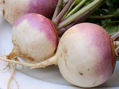 Root vegetable seeds