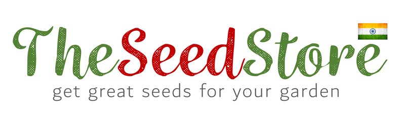 The Seed Store (India)