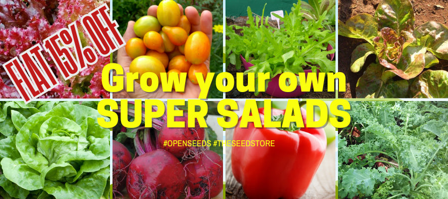 Check out these delicious salad seed selections