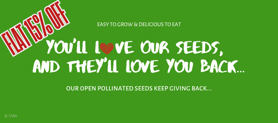 A wide selection of vegetable seeds for kitchen gardeners